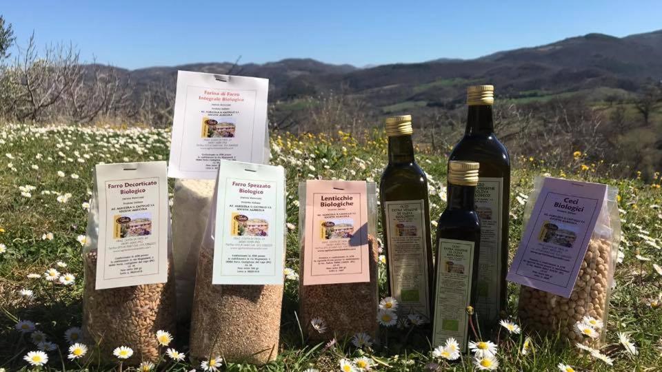 Agriturismo Il Castello Ассизи Экстерьер фото