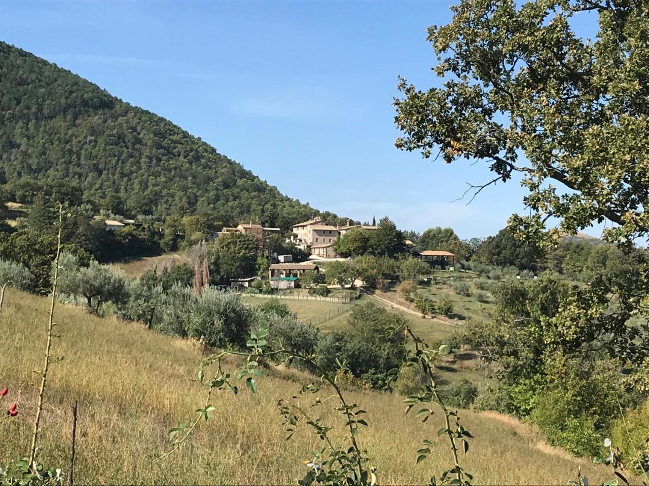 Agriturismo Il Castello Ассизи Экстерьер фото